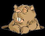 Beaver