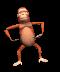 Monkey