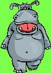 Hippo