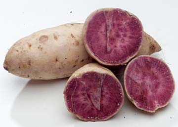 Sweet Potato