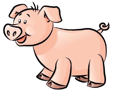 Pig