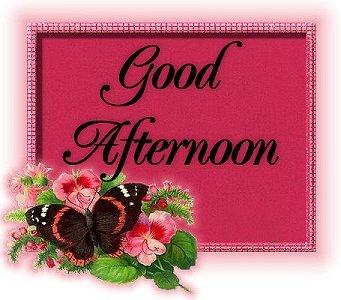 Good afternoon Wish