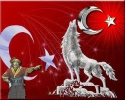 Bozkurt