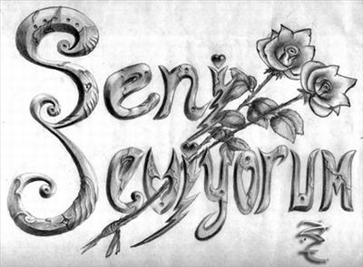 Seni Seviyorum