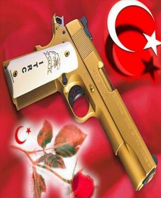 Tabanca Ayyıldız Gül