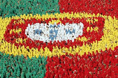 Vamos ver a Selecção?