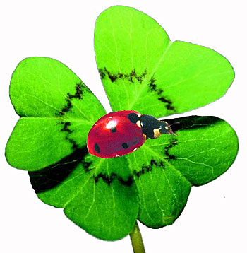 Glück
