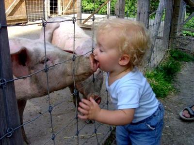 Platonic Kiss on the nose