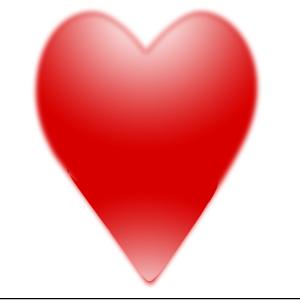 Heart 