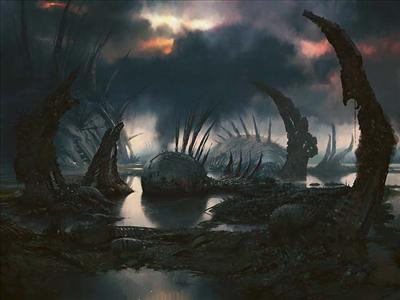 Swamp