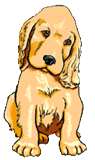 puppydog
