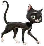 cat!