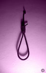 Sylie's Death Rope