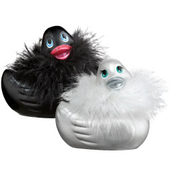canard