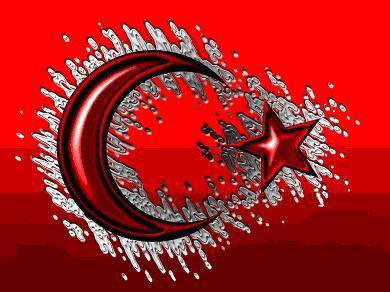 TÜRK BAYRAĞI