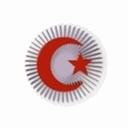 TÜRK BAYRAĞI 