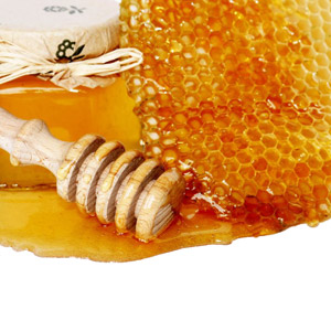 honey honey <3