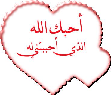 وأنا ايضا أحبك في الله^_^
