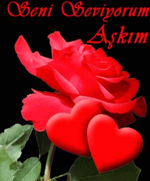 Seni Seviyorum Askim
