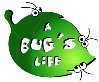 Bug