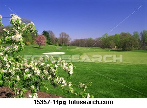16th Green Golf coures property