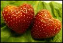 Love Strawberries