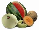 Melon