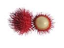 Rambutan