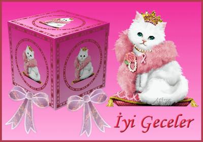 İyi Geceler