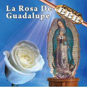 Rosa de Guadalupe
