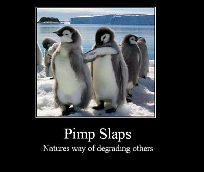 Penguin Pimp Slap