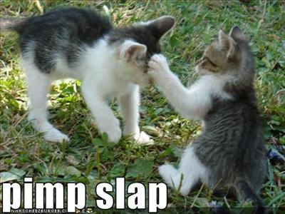 Pussy Pimp Slap