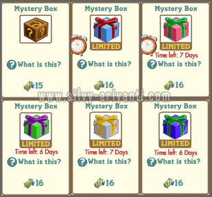 Mystery Box