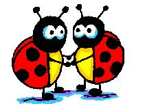 Lady Bug Love Dance!