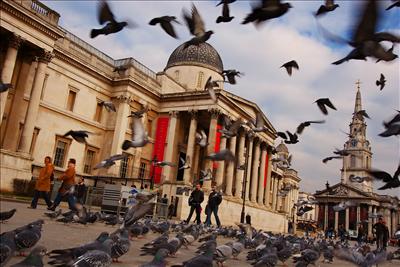 national gallery