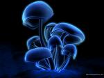 Blue Mushroom
