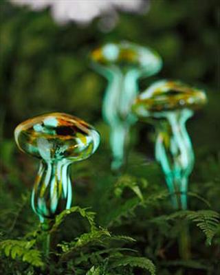 Dew Mushroom