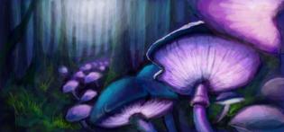 Mushroom in the Forest