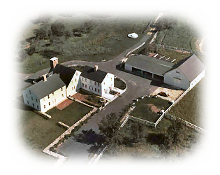 Homestead