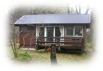 Holiday Cabin