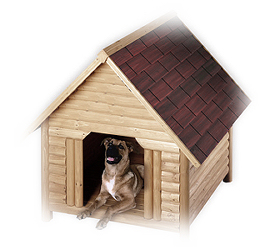 Doghouse