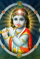 YOUNG KRISHNA