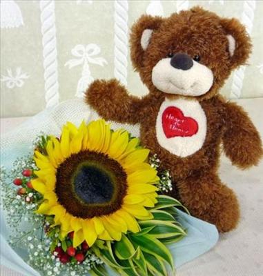 Girasol de Mockus!