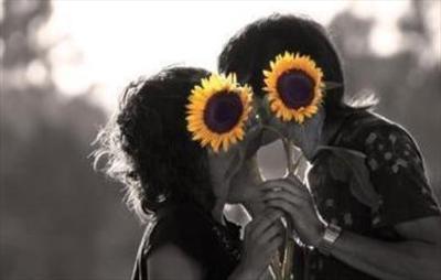 Girasoles de Amor.