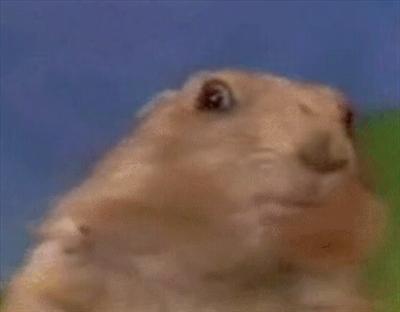 Dramatic chipmunk