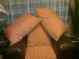 cojines de casa de lalo