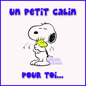 Câlin