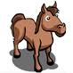 10 Horses