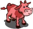 2 Pink Cows