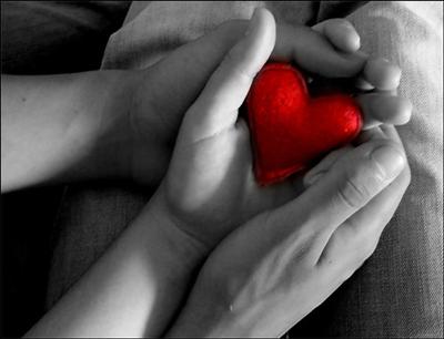 il mio cuore